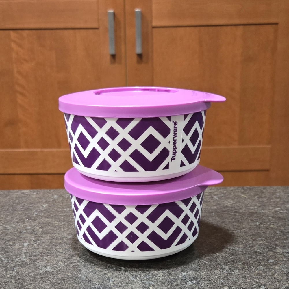 EXCLUSIVE Print- 2pc Locking Lid Canister Set